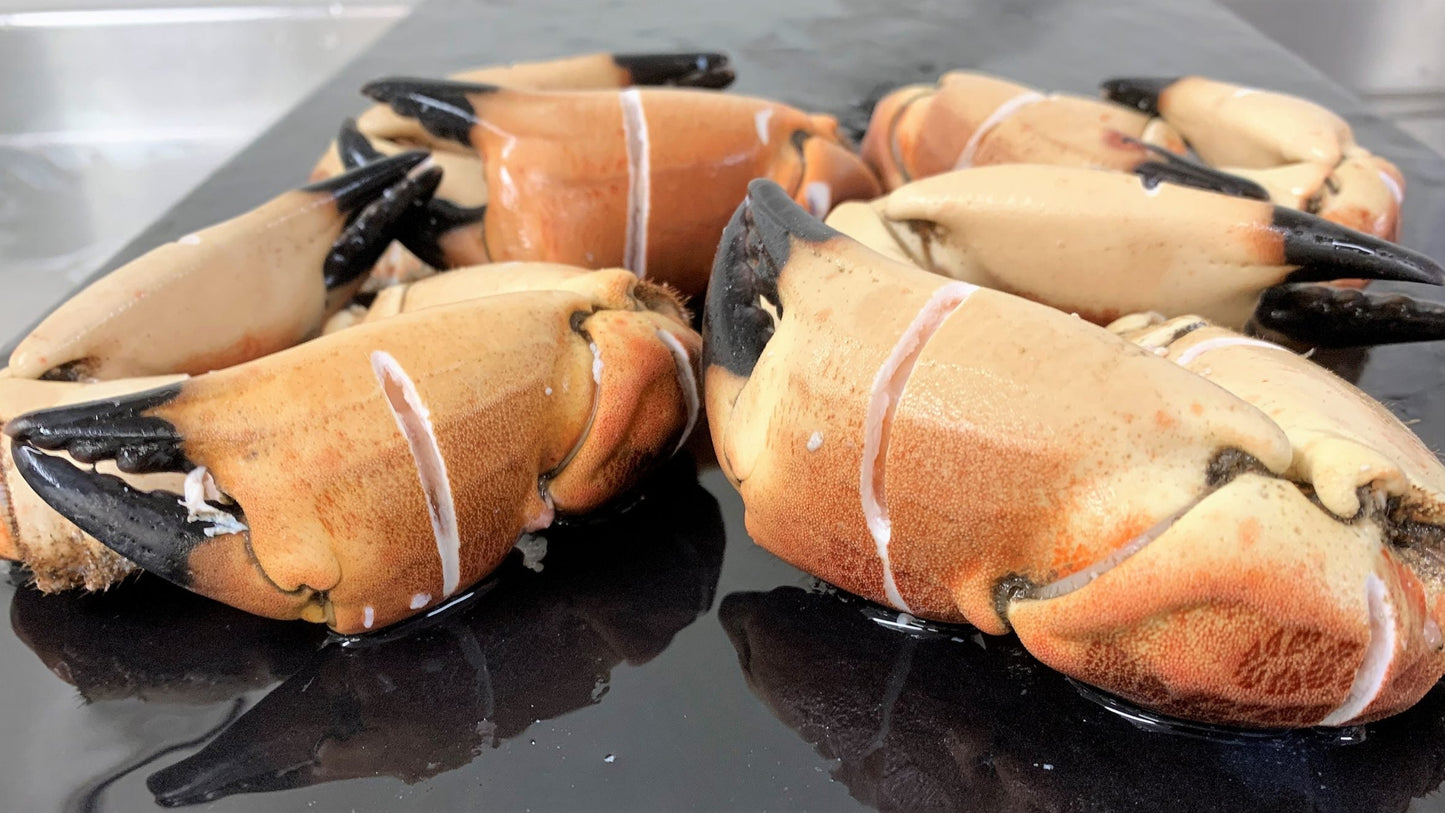 Large Scottish Brown Crab Claws – Cooked