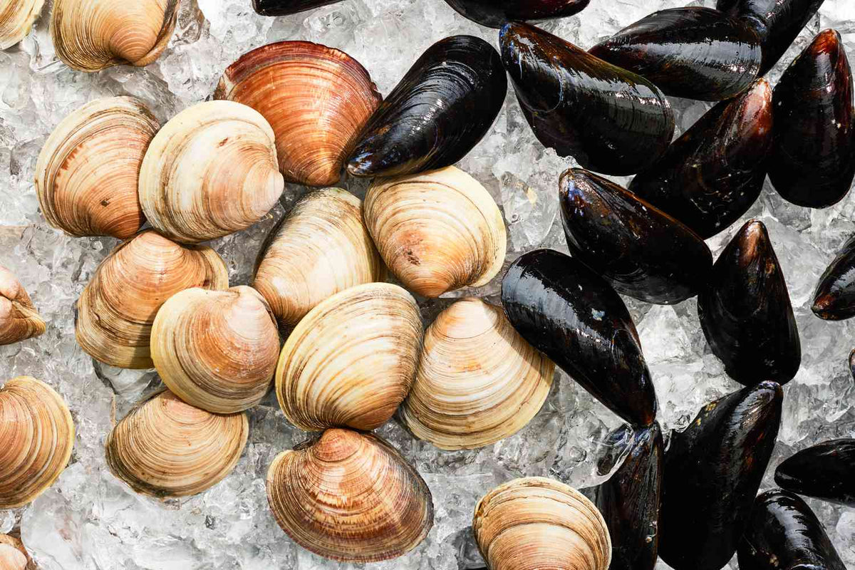 Pick Me Shellfish Mike's Fish Market – mikesfishmarket