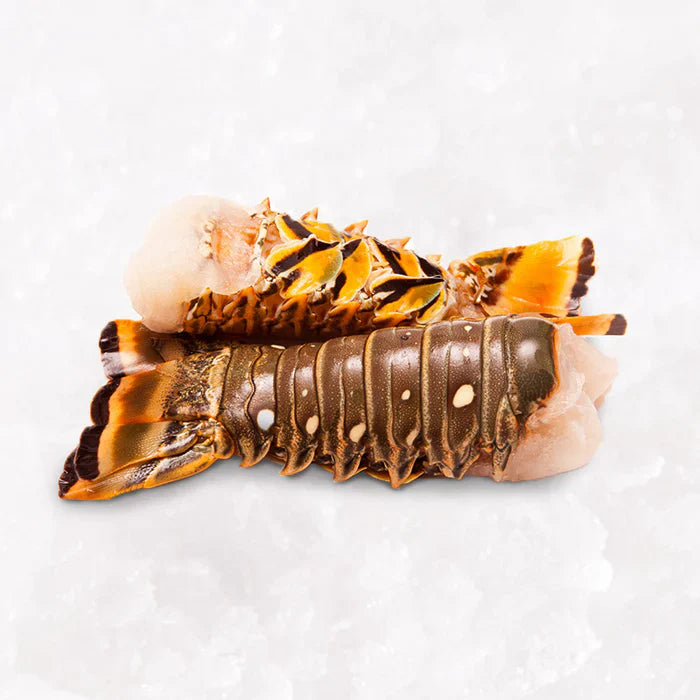 Frozen Seafood