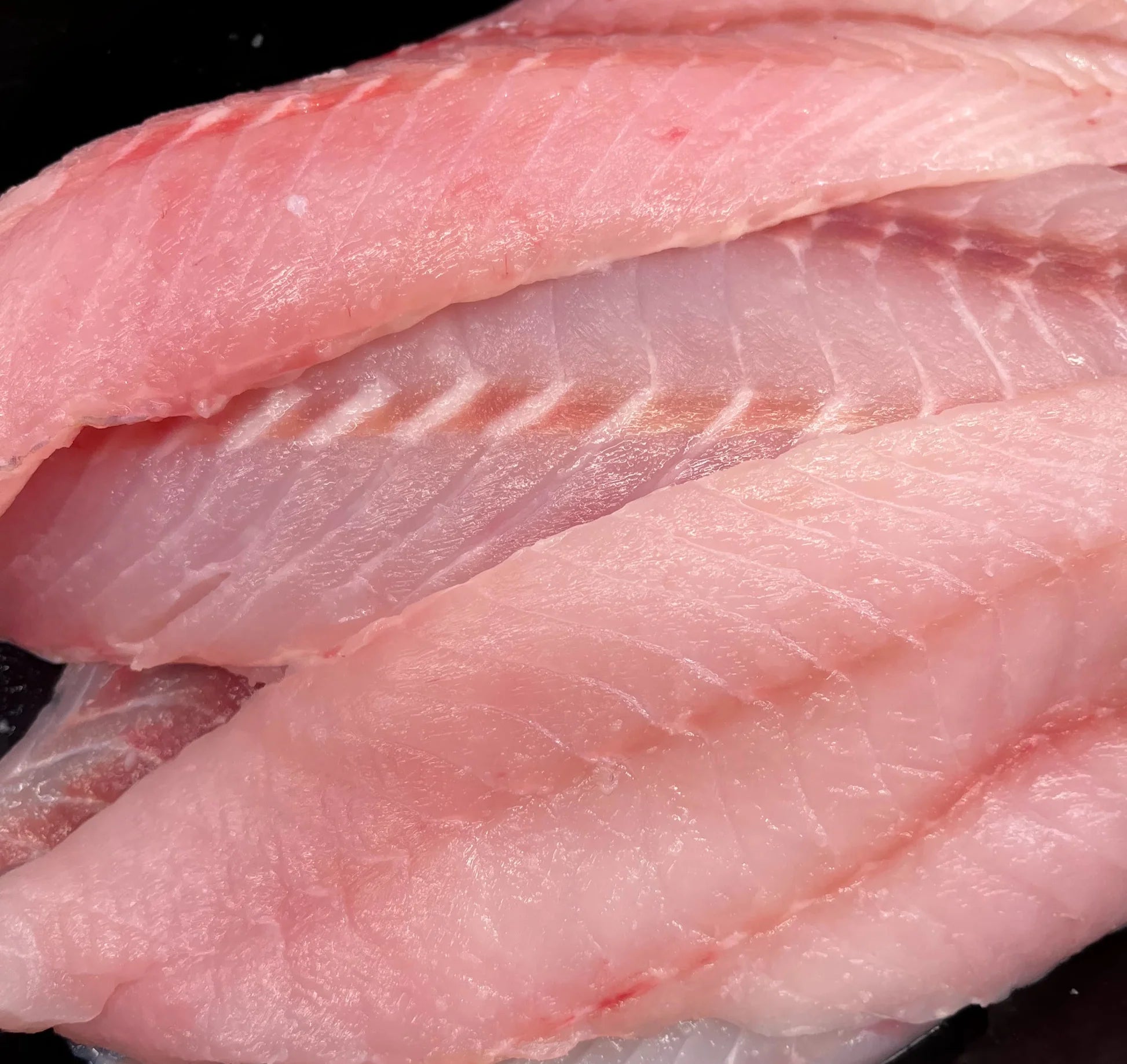 FRESH PACIFIC SNAPPER FILLET – mikesfishmarket