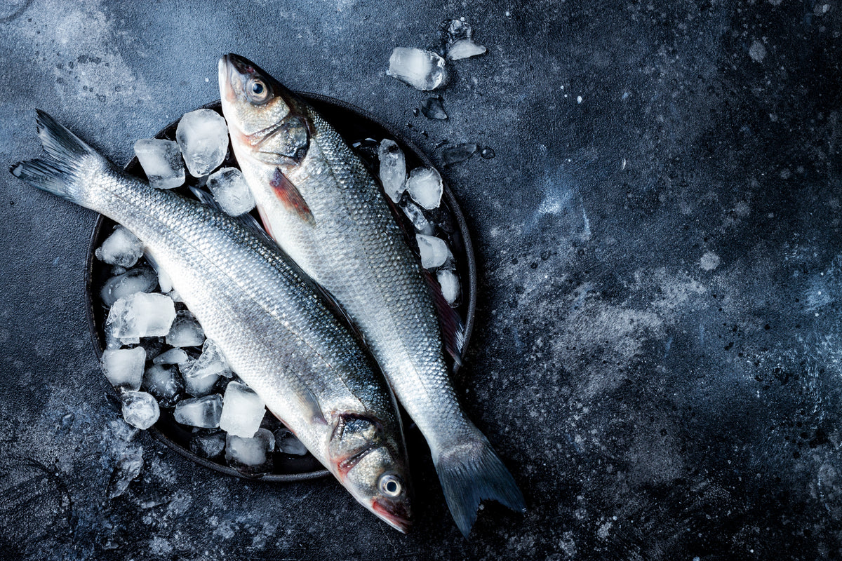 Mike's Fish Market – mikesfishmarket
